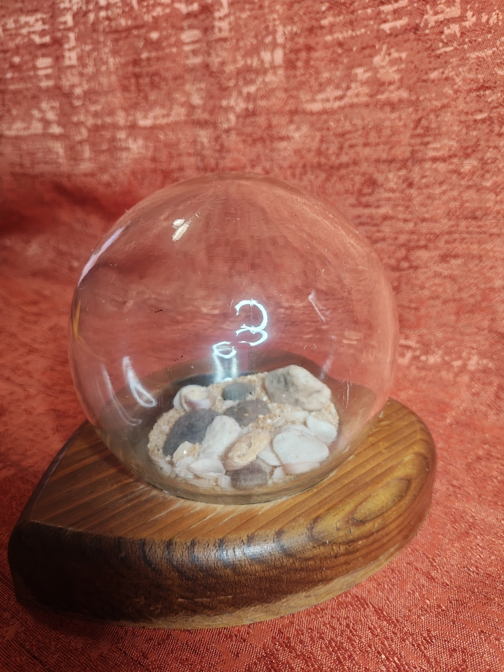 Clear Glass Globe Terrarium with Natural Shell Accents - Unbranded